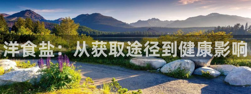 威九国际网站更新了吗