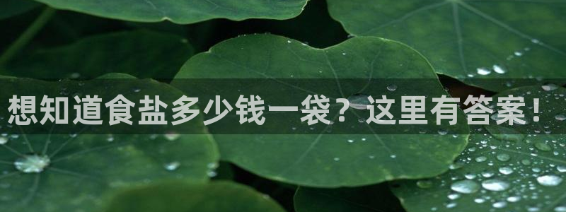 威九国际清砖码头怎么样
