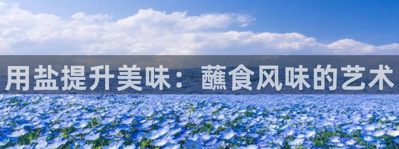 威九国际78map.p