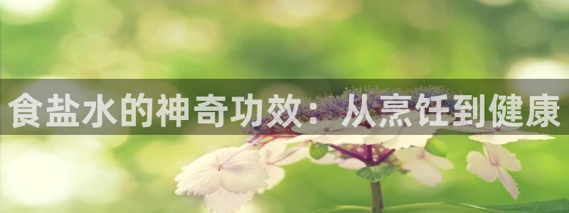 威九国际电子游戏