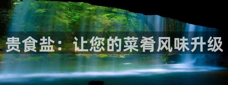 威九国际ppt免费吗