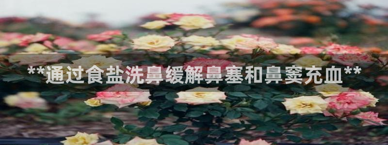 威九国际app网站官网
