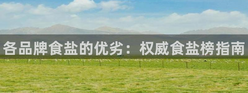 威九国际H