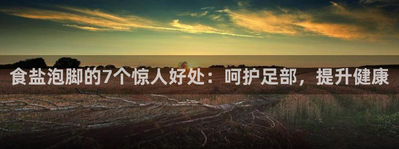 威九国际v8