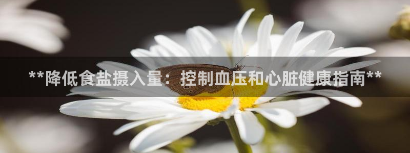 威九国际网站进入客服中心怎么进