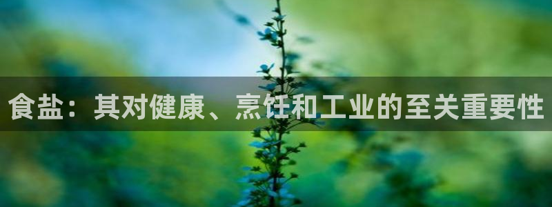 威九国际演员2023年最新作品