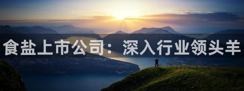 威九国际78m78下载