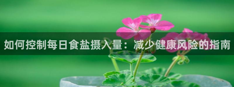 威九国际在哪里