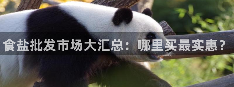 威九国际78m小说