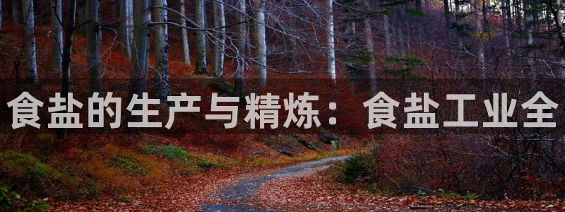 威九国际合作伙伴有哪些