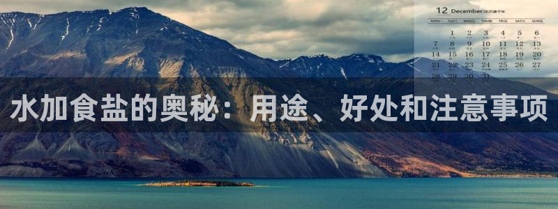 威九国际