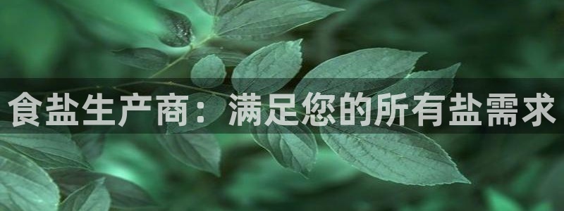 威九国际X8