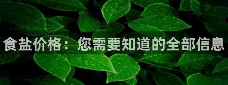 威九国际可以退钱吗怎么退款