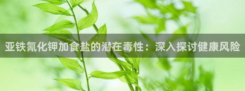 威九国际理论片最经典十首歌曲
