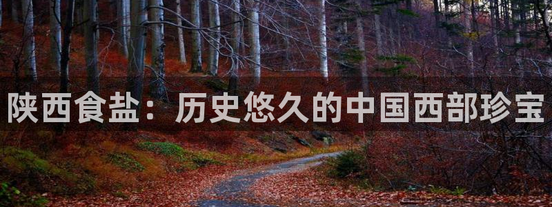 威九国际66m官网版