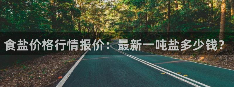 威九国际入囗