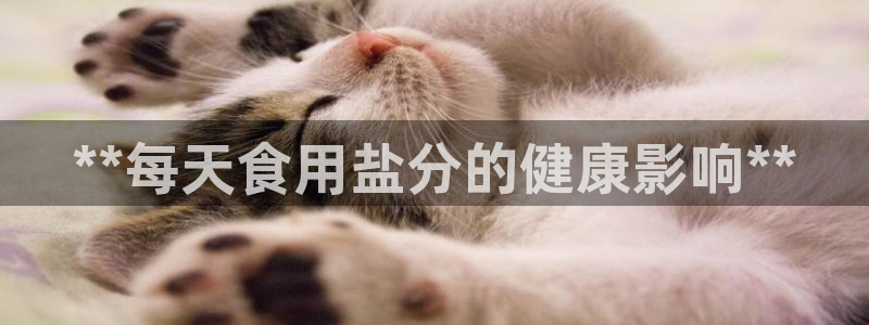 威九国际网站怎么样