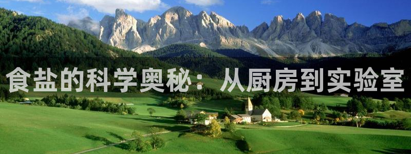 威九国际人民网招聘
