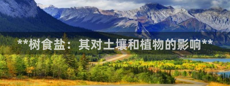 威九国际网站入口官网游戏推荐