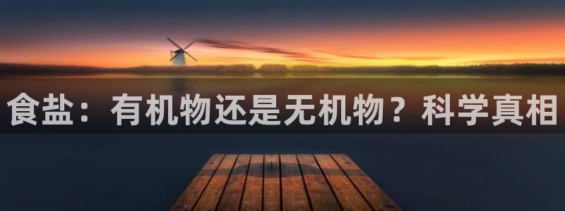 威九国际ppt免费下载