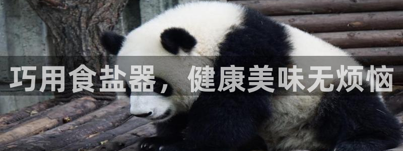 威九国际的金融服务怎么样