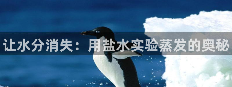 威九国际78mb玩法