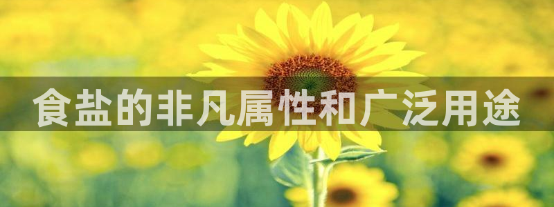 威九国际空降