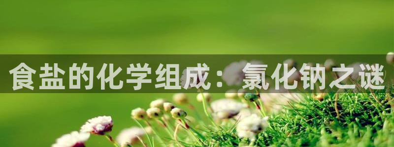 威九国际网站下载