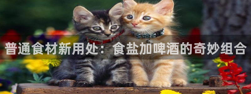 威九国际78M.APP