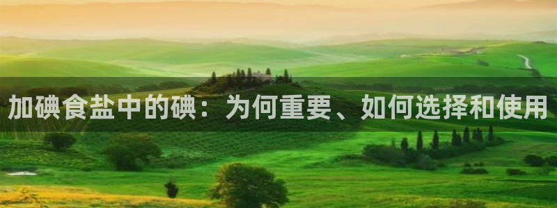 威九国际78