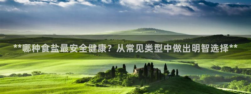 威九国际ppt免费
