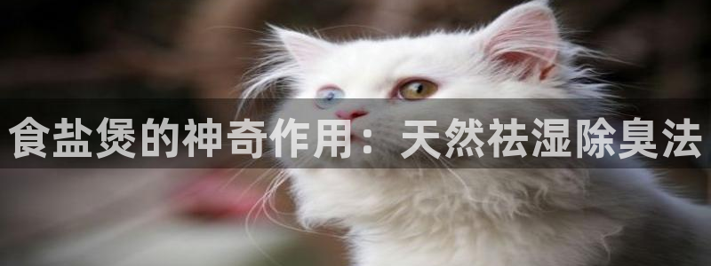 威九国际78mob游戏亮点