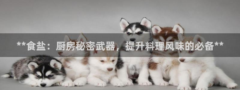 威九国际女主名字
