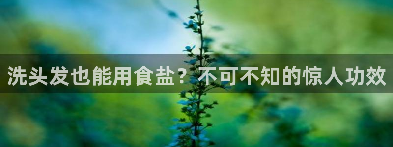 威九国际娜娜