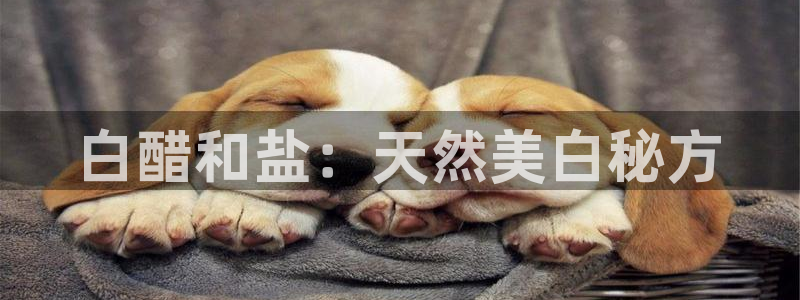 威九国际全国空降