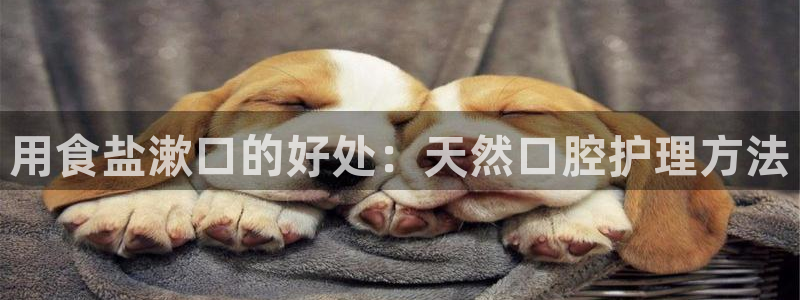 威九国际里的长头发帅哥名字