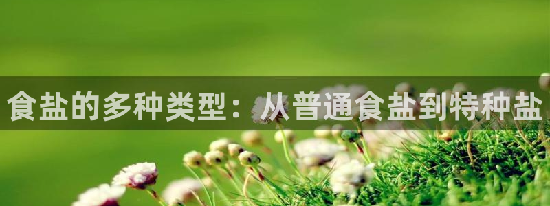 威九国际天美
