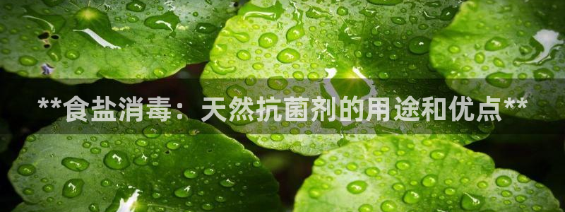 威九国际的女主