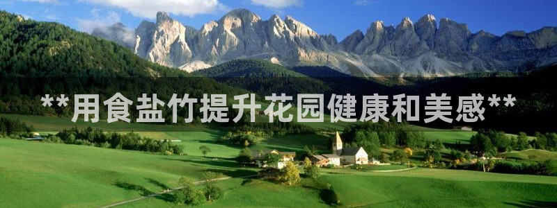 威九国际ppt免费吗