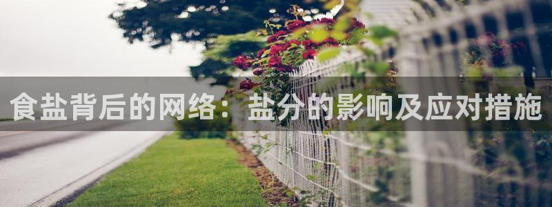 威九国际FF