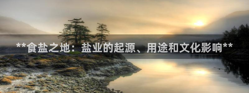 威九国际软件