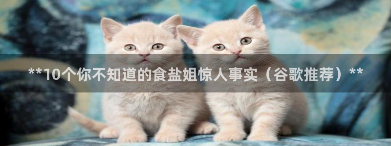 威九国际国精彩片段