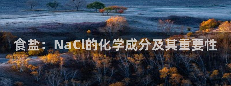 威九国际66m66大陆