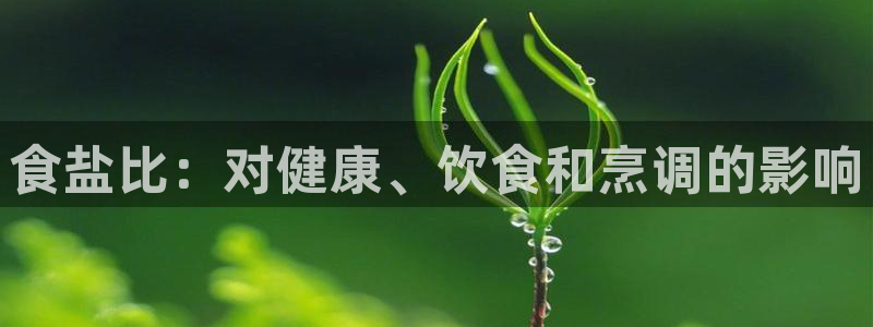 威九国际MM