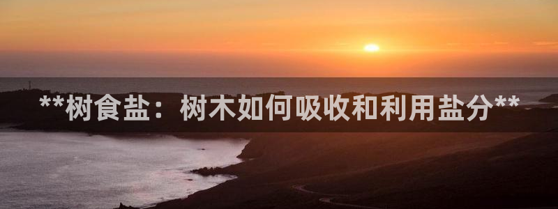 威九国际留学