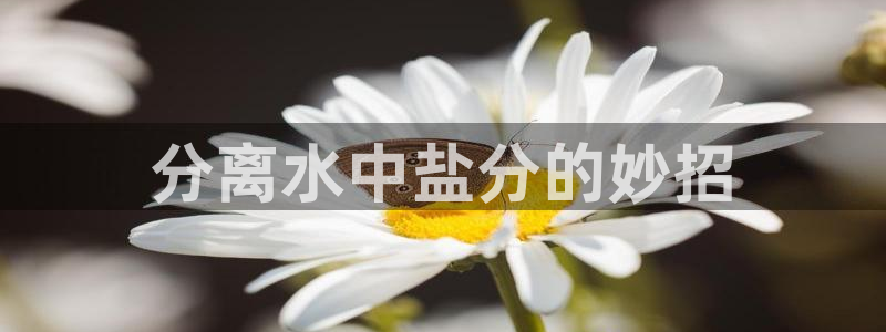 威九国际抡里