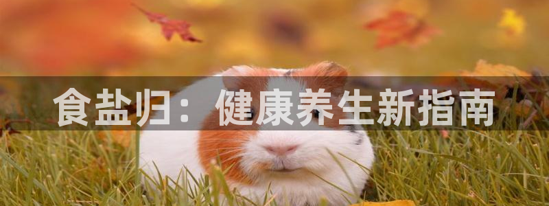 78mapp威九国际官网