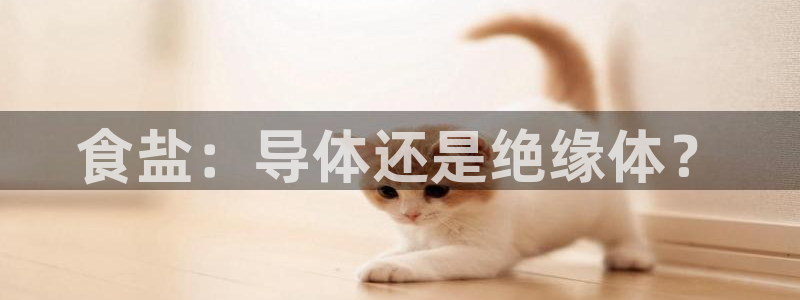 威九国际清砖码头在哪