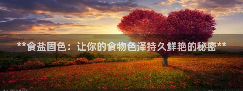 保定威九网络科技有限公司