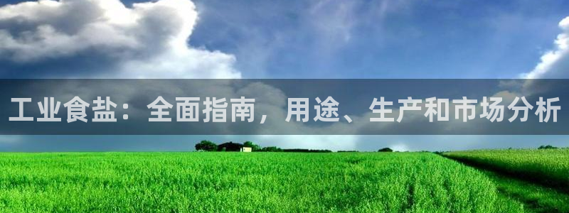 威九国际网站传媒招聘